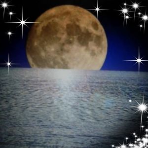 Meet your Posher, Î§Î±ÏÎ±